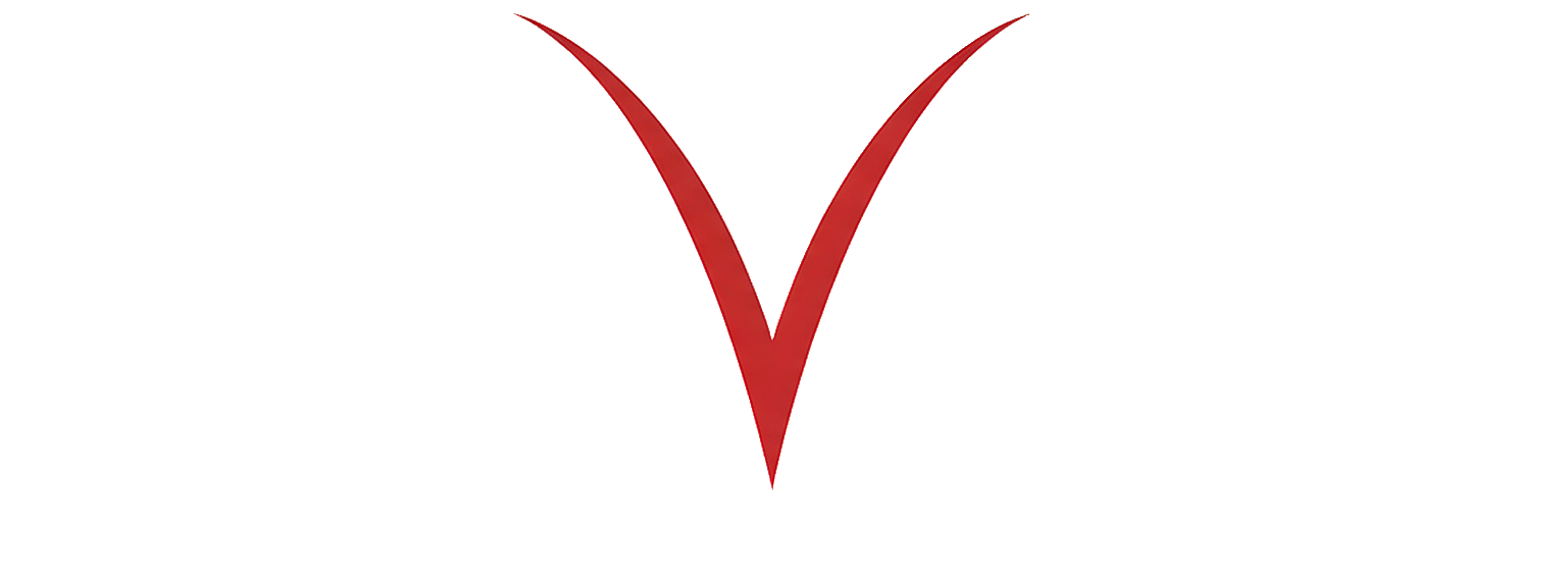 Mars Vision | Software & Content Studio